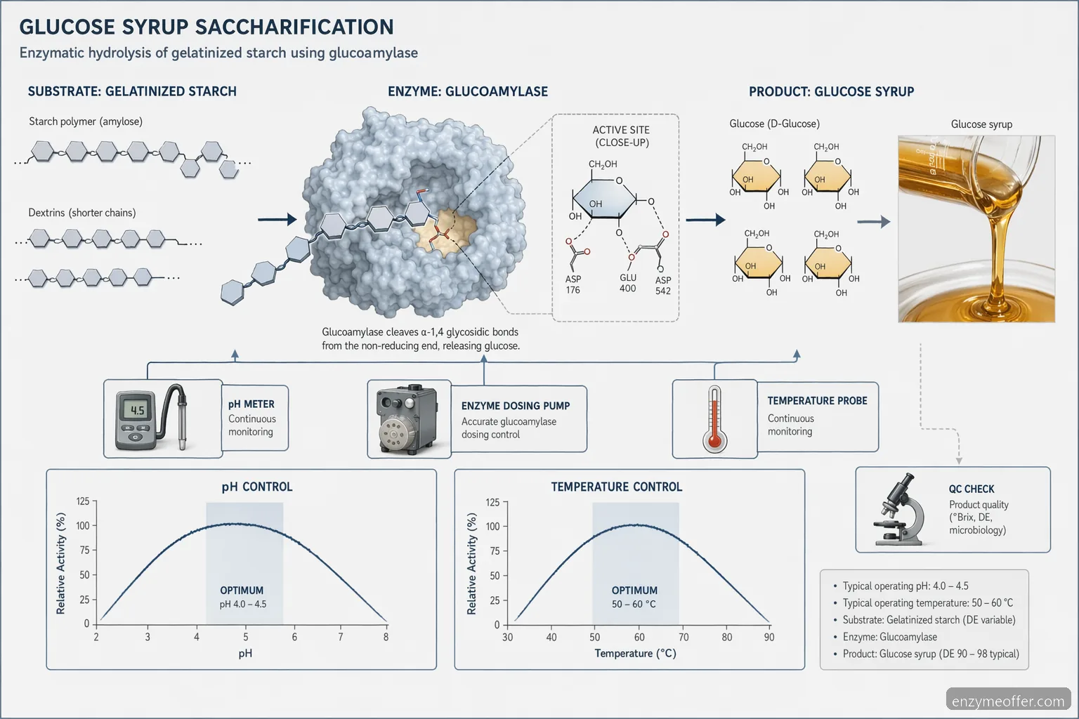 glucoamylase supplier for glucose syrup saccharification diagram with starch reaction flow and pH temperature curve