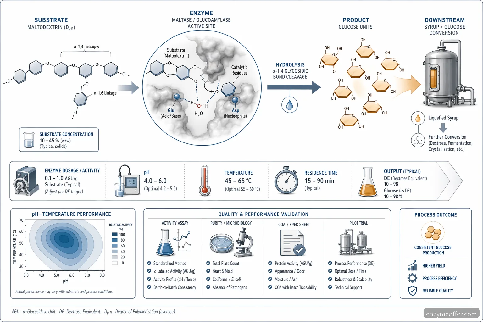 industrial maltase enzyme maltodextrin process diagram mapping glucoamylase hydrolysis, pH, temperature, and glucose output