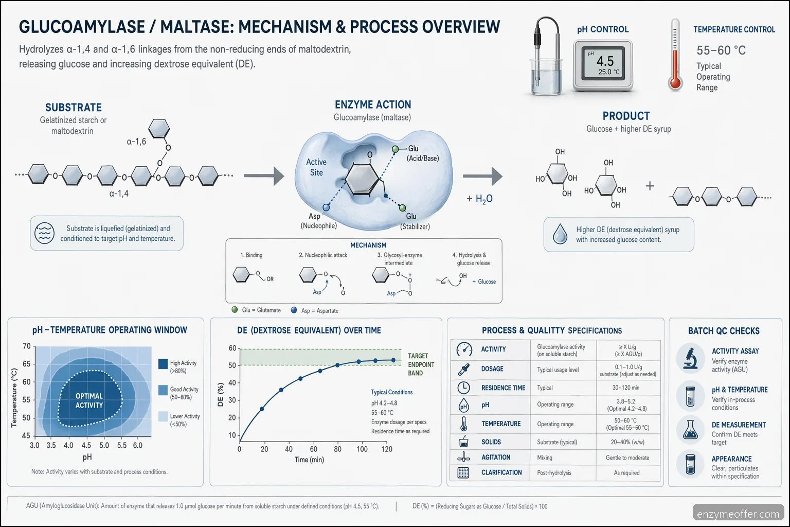 maltase enzyme for maltodextrin process diagram mapping substrate conversion, pH-temperature control, and DE endpoint
