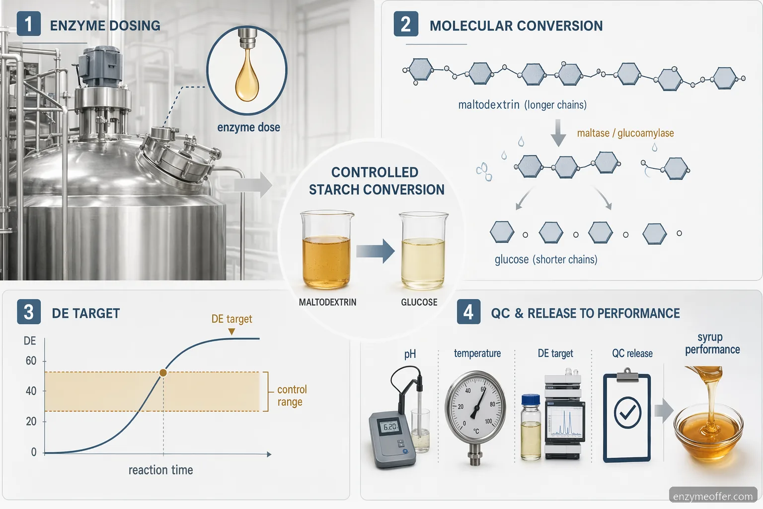 maltase enzyme for maltodextrin guide showing enzyme dosing, DE target curve, QC checks, and syrup output