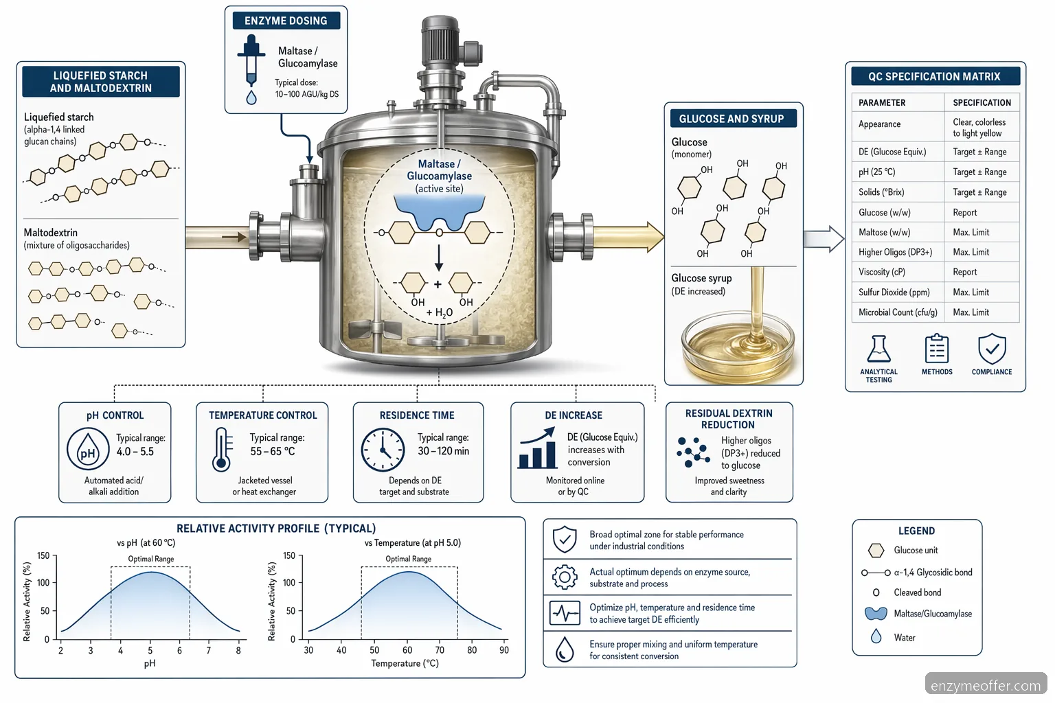 maltase enzyme production process diagram showing glucoamylase converting dextrins to glucose with pH and temperature controls