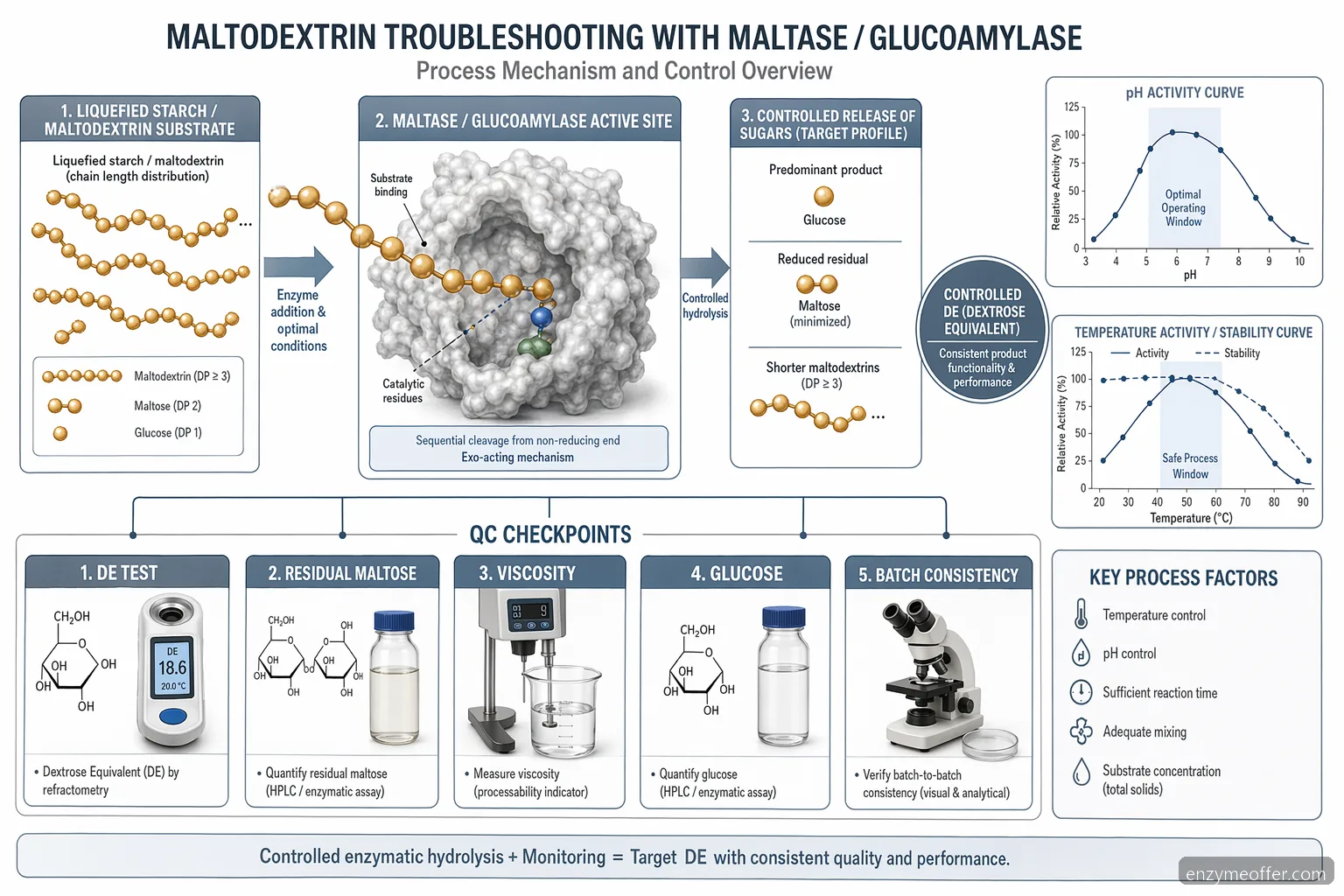maltase enzyme supplier for maltodextrin process diagram showing starch hydrolysis, DE control, and QC checkpoints